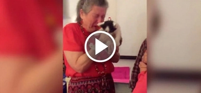 Students surprised teacher with box of kittens after her cat dies. Her reaction will make you cry hard