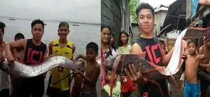 Rare Oarfish captured in Gensan, villagers believe it's a sign of a huge Earthquake coming!