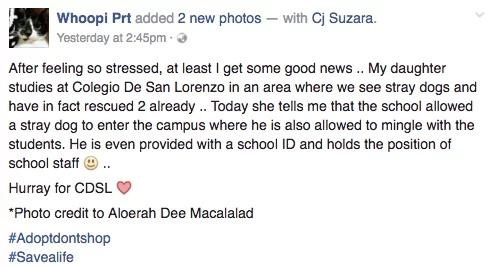 Stray dog has own ID, allowed to enter QC school Stray dog has own ID, allowed to enter QC school