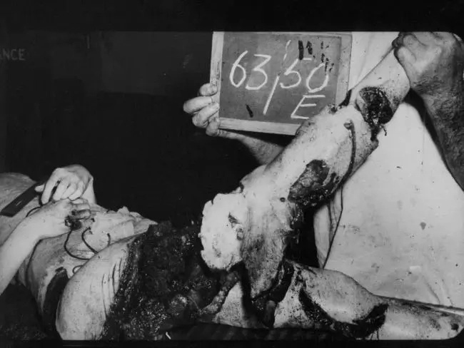 A list of the 10 most brutal shark attacks in recent history A list of the 10 most brutal shark attacks in recent history