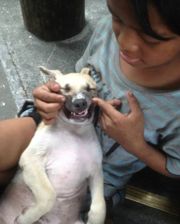 Homeless kid takes care of stray dog and treats it like a brother Homeless kid takes care of stray dog and treats it like a brother