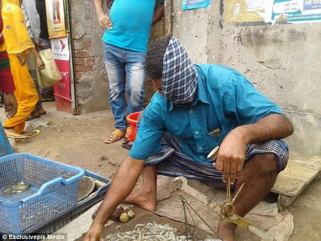 Tiger destroys fisherman's face after horrendous attack! Tiger destroys fisherman's face after horrendous attack!