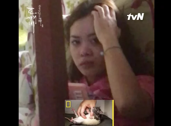 Filipina gets filmed discreetly as she watches Korean drama Filipina gets filmed discreetly as she watches Korean drama
