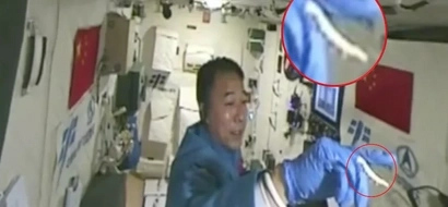 Bonga! Chinese astronaut walking silkworm in space goes viral
