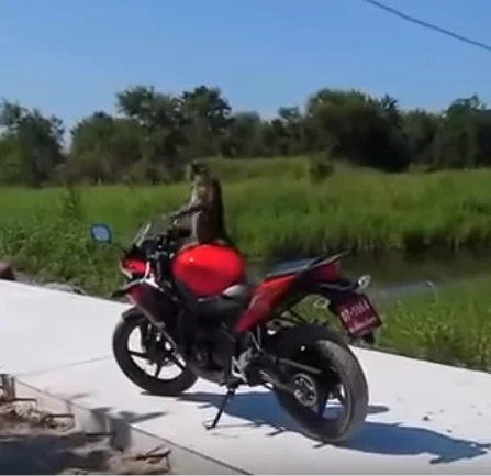 This Thai man fights a monkey for peeing on his motorcycle This Thai man fights a monkey for peeing on his motorcycle