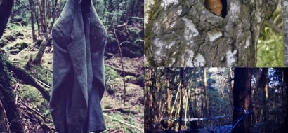 Creepy! This Forest In Japan is Known as “Suicide Forest" Find out The Reason Why!