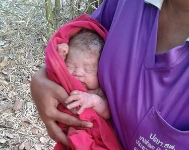 Baby survives miraculously despite being buried alive and stabbed 14 times by mother Baby survives miraculously despite being buried alive and stabbed 14 times by mother