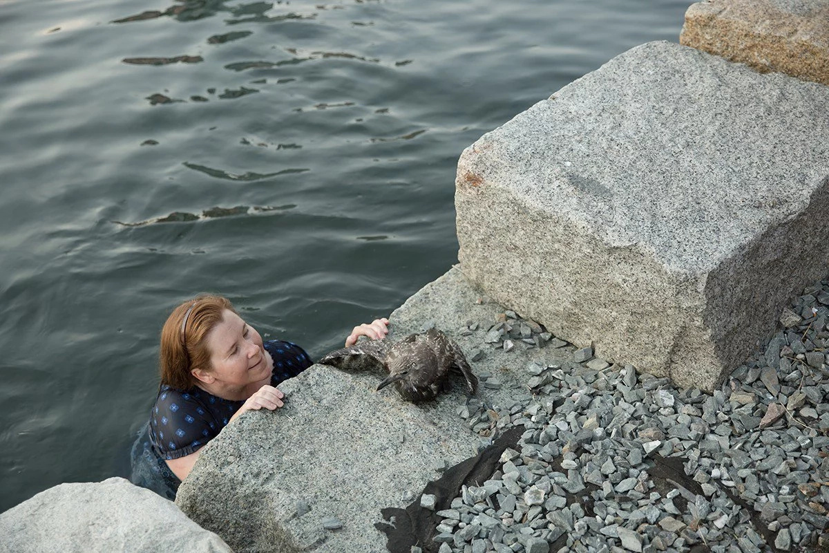 She dived into an icy cold channel to save a drowning bird She dived into an icy cold channel to save a drowning bird
