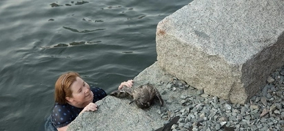 This heroic woman rescued a drowning bird!