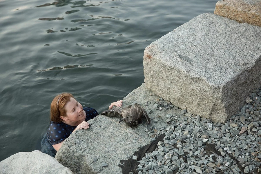She dived into an icy cold channel to save a drowning bird She dived into an icy cold channel to save a drowning bird