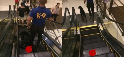 Netizens are furious on this Facebook user who shared photos of K9 pooping on mall's escalator