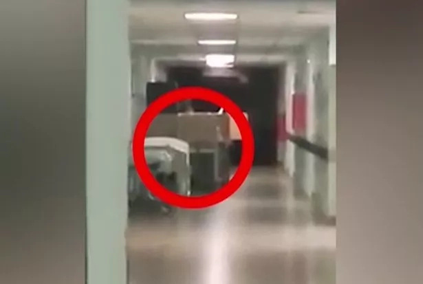 Spooky! SOUL of dead child caught on camera by terrified hospital staff. Can you see it (photos,video) Spooky! SOUL of dead child caught on camera by terrified hospital staff. Can you see it (photos,video)