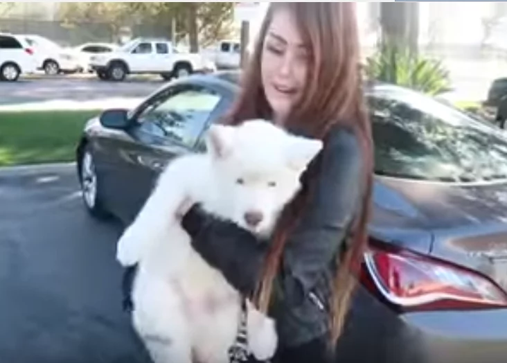 This guy wanted to bring HER home. When his girlfriend spotted them, she started crying This guy wanted to bring HER home. When his girlfriend spotted them, she started crying