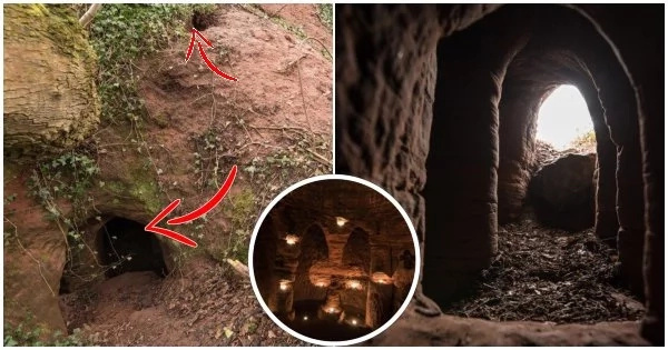 Farmer finds a rabbit hole in his field that leads to mysterious caves that were used in the 18th and 19th century