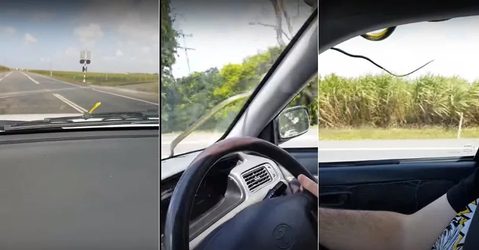 A snake tried to enter this couple's car on a highway A snake tried to enter this couple's car on a highway