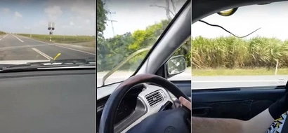 A snake is trying to crawl into this Australian couple's speeding car on highway