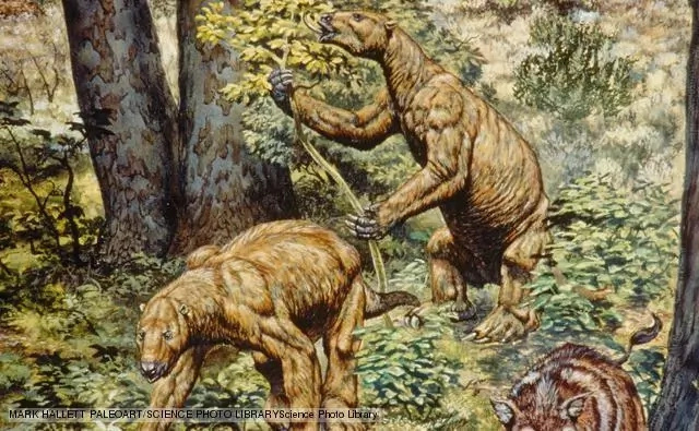 Researchers have found very ancient massive tunnels. When they examined the burrows scary truth came out Researchers have found very ancient massive tunnels. When they examined the burrows scary truth came out