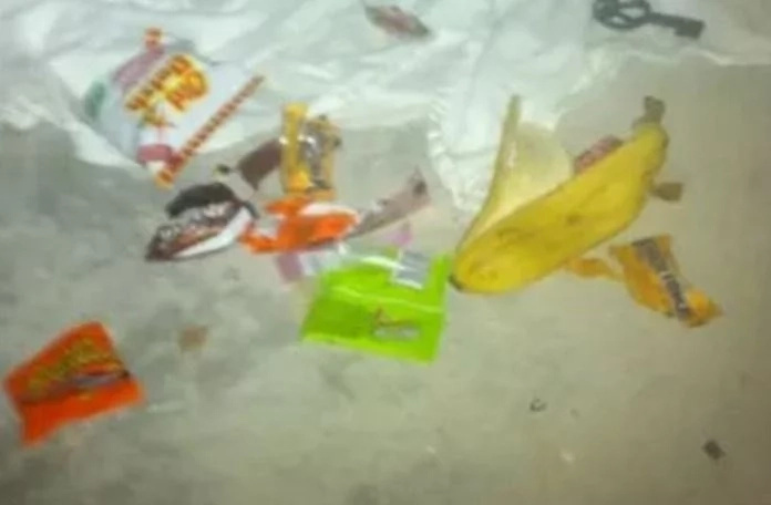 The banana peel still fresh... The banana peel still fresh...