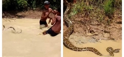 These kids were just having a dip. They later spotted a python swimming with them and all they wanted was to capture it