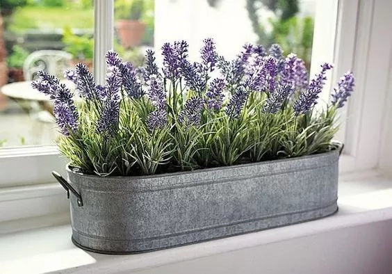 LOOK! Here's how to make your home smell fresh all day LOOK! Here's how to make your home smell fresh all day