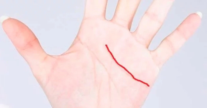 Si tienes esta línea en tu mano, ¡eres muy afortunado! Entérate del porqué Si tienes esta línea en tu mano, ¡eres muy afortunado! Entérate del porqué
