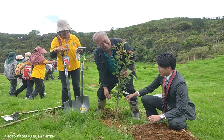 Cherry blossoms soon to bloom in Benguet Cherry blossoms soon to bloom in Benguet