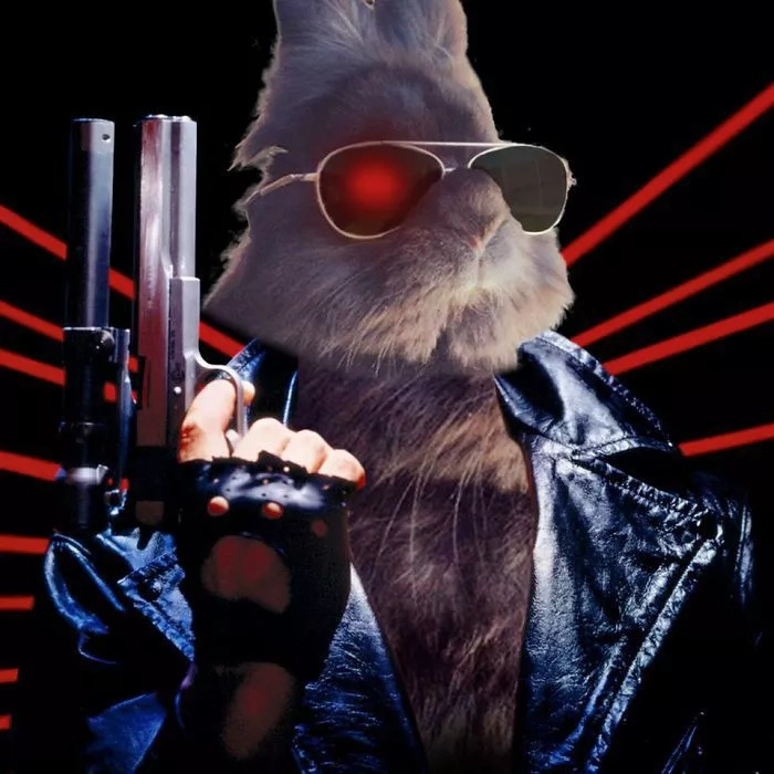 Somebody Put Sunglasses on a Cute Bunny and Internet Went Totally Insane (10+ Pics) Somebody Put Sunglasses on a Cute Bunny and Internet Went Totally Insane (10+ Pics)