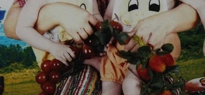 Chinese orphan twins adopted by different families are reunited 10 years later via Facetime