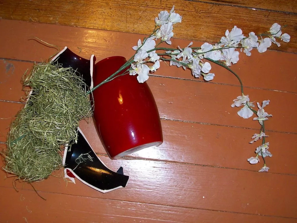 vases vases