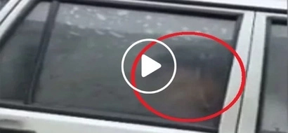 Chinese students filmed having sordid sex in instructor's car