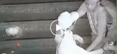 Dangerous holdupper in Pasay surrenders after CCTV video went viral on fb