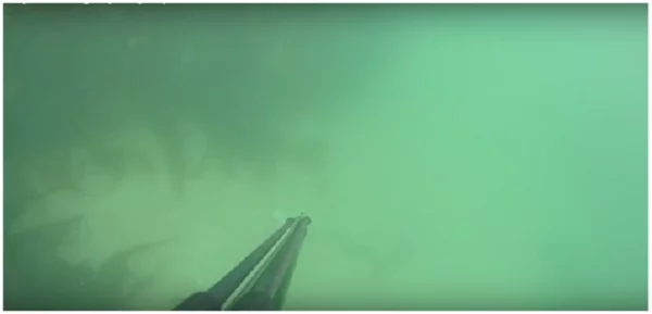 Man goes for Spear fishing and what he spots is unbelievable: A mystery object from the past Man goes for Spear fishing and what he spots is unbelievable: A mystery object from the past