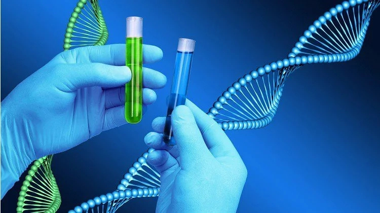Married couple get nasty surprise after DNA test reveals they are biological TWINS Married couple get nasty surprise after DNA test reveals they are biological TWINS