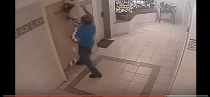 Dog Was Almost Decapitated by an Elevator, but This Hero Came from Nowhere... (Video)