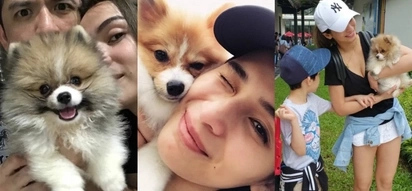 Jennylyn Mercado treats her dog Conor as her real baby and they are just too adorable to handle