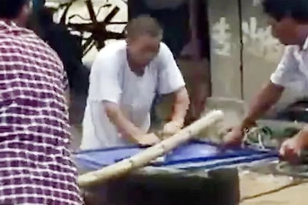 Dogs are killed in the most painful way in China Dogs are killed in the most painful way in China