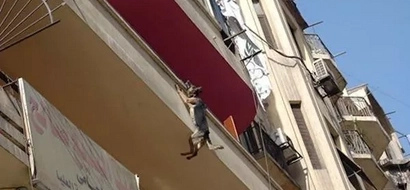This Dog Had Been Chained To A Balcony Forever...So She Did Something Heartbreaking