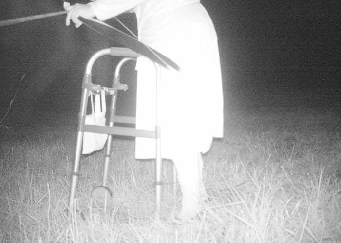 Police camera finds a host of strange creatures at national park Police camera finds a host of strange creatures at national park