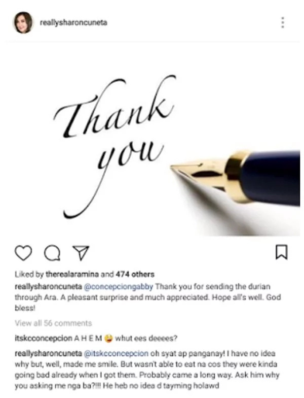 Sharon Cuneta thanks Gabby Concepcion for durians Sharon Cuneta thanks Gabby Concepcion for durians