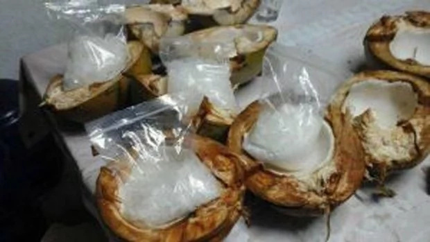 Drug traders used coconuts to hide the illegal substance Drug traders used coconuts to hide the illegal substance
