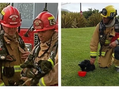 Firefighters rush inside burning house to save a puppy. When they found him, he was tied up inside an overturned box