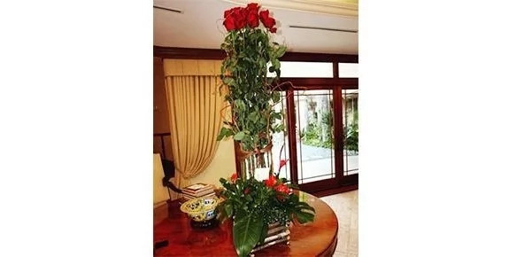 Don at Doña ng Pinas! Inside Gretchen Barretto and Tonyboy Cojuangco’s luxurious mansions in Makati City Don at Doña ng Pinas! Inside Gretchen Barretto and Tonyboy Cojuangco’s luxurious mansions in Makati City