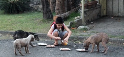 Inspiring 9-year old started feeding stray dogs and now has his own animal shelter