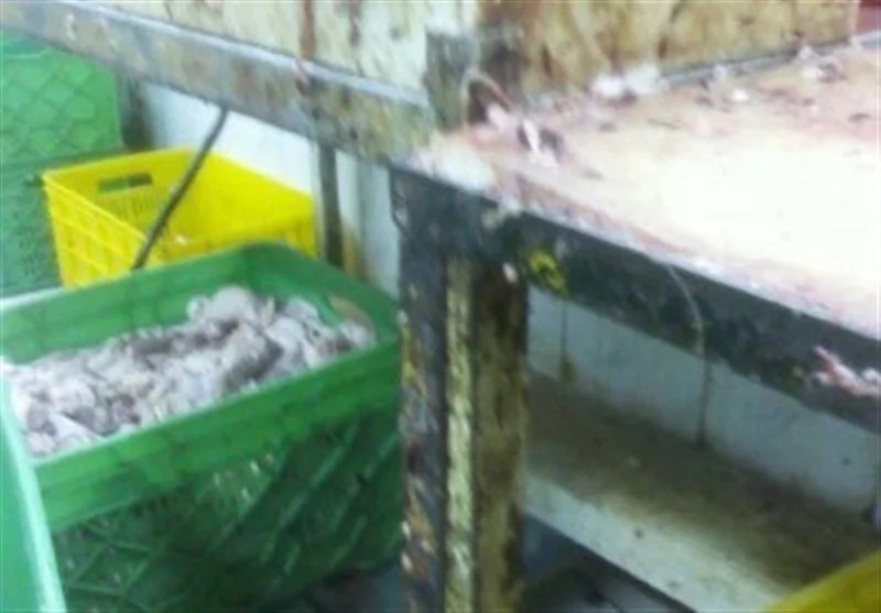 Filthy restaurant with chicken on the floor identified (photos)