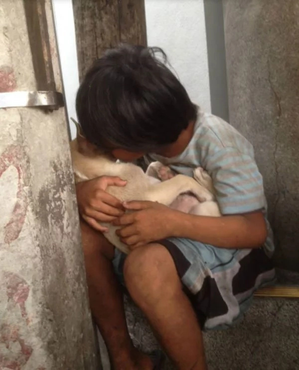 Homeless kid takes care of stray dog and treats it like a brother Homeless kid takes care of stray dog and treats it like a brother