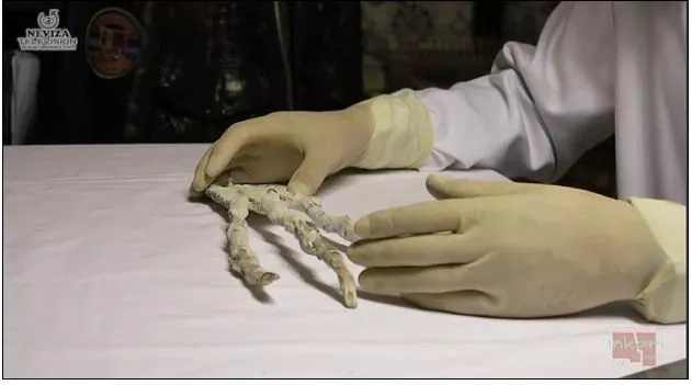 Totoo nga ba ang mga Aliens?! Ang misteryosong higanteng “claw” Totoo nga ba ang mga Aliens?! Ang misteryosong higanteng “claw”