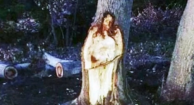 Netizens surprised over viral photo showing off tree that looks like Jesus Netizens surprised over viral photo showing off tree that looks like Jesus