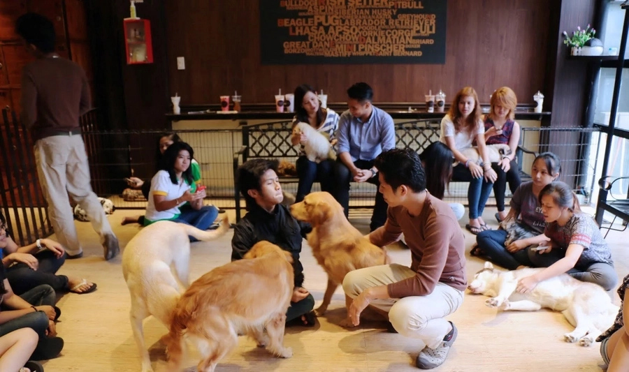 Five ways on how dogs can help you move on Five ways on how dogs can help you move on
