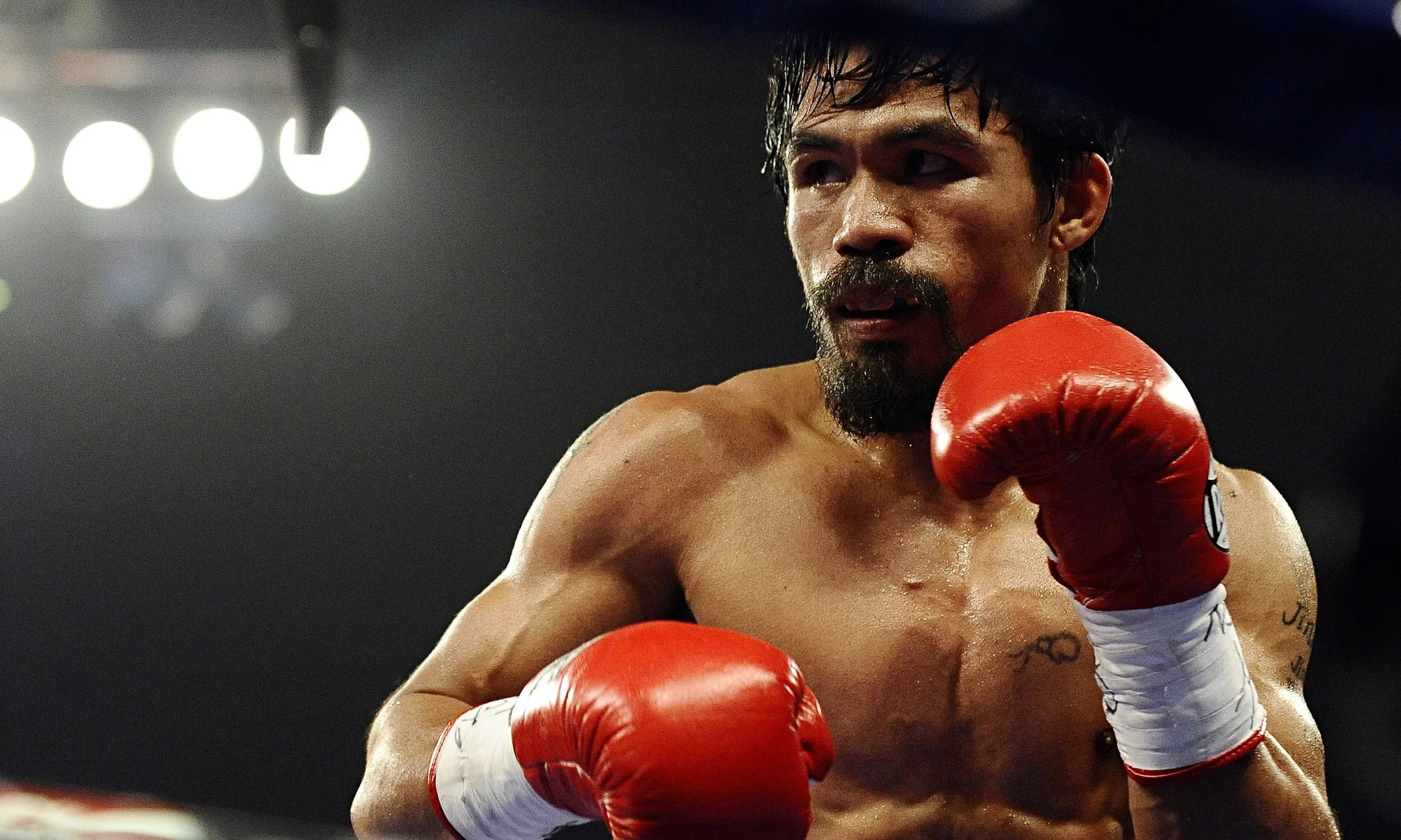 Bello: Pacquiao Knocks Out Comelec Bello: Pacquiao Knocks Out Comelec