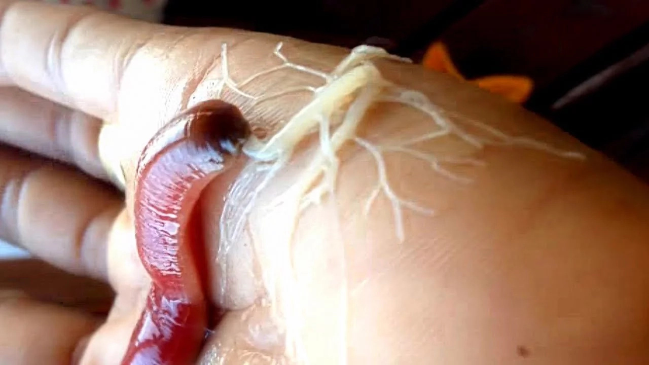 8 unbelievable sea monsters which live in deep-waters 8 unbelievable sea monsters which live in deep-waters
